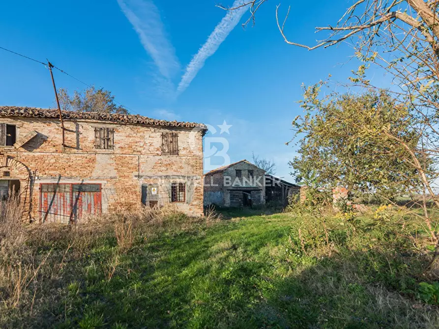 Immagine 4 di Rustico / casale in vendita  in via Contrada Montericco a Mondavio