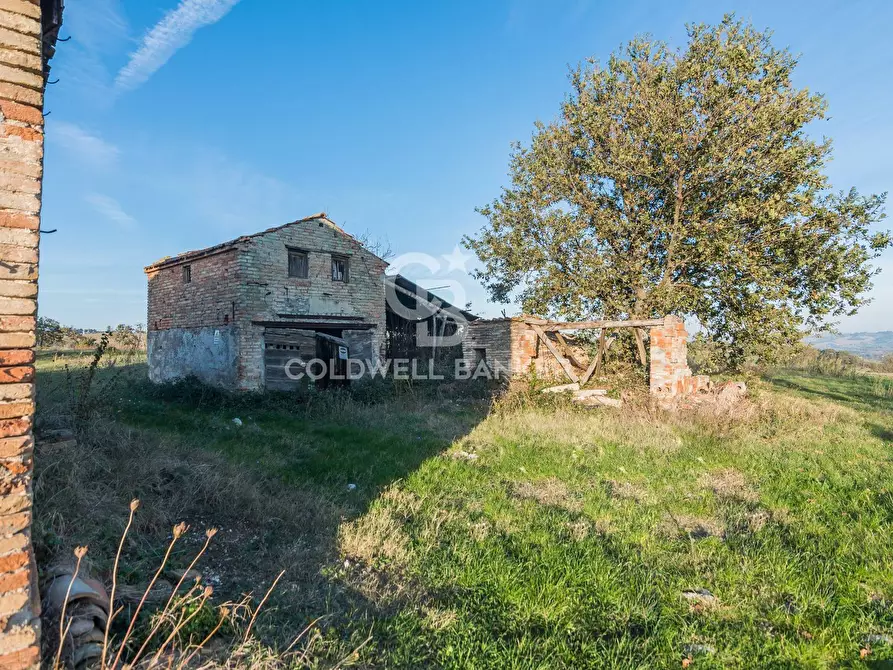 Immagine 6 di Rustico / casale in vendita  in via Contrada Montericco a Mondavio