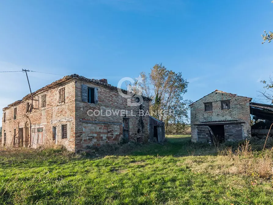 Immagine 8 di Rustico / casale in vendita  in via Contrada Montericco a Mondavio