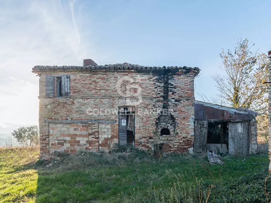 Immagine 3 di Rustico / casale in vendita  in via Contrada Montericco a Mondavio