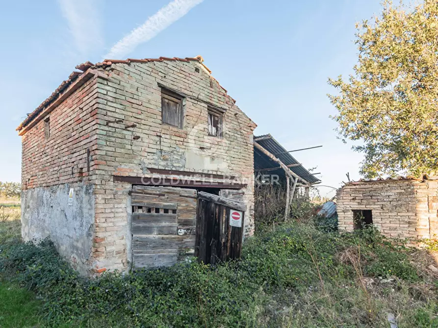 Immagine 7 di Rustico / casale in vendita  in via Contrada Montericco a Mondavio