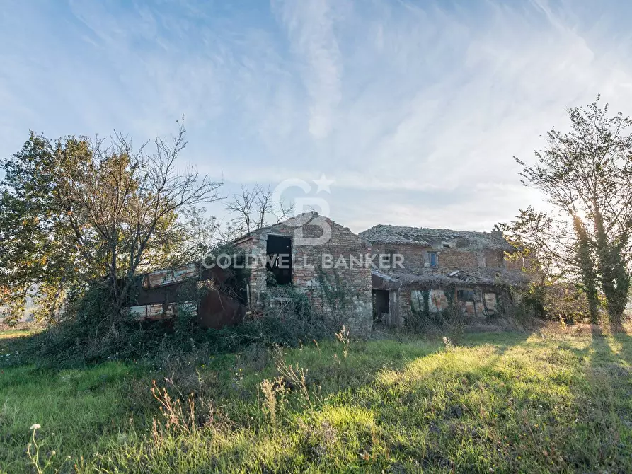 Immagine 11 di Rustico / casale in vendita  in via Contrada Montericco a Mondavio