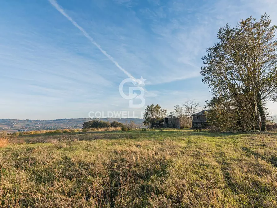 Immagine 12 di Rustico / casale in vendita  in via Contrada Montericco a Mondavio