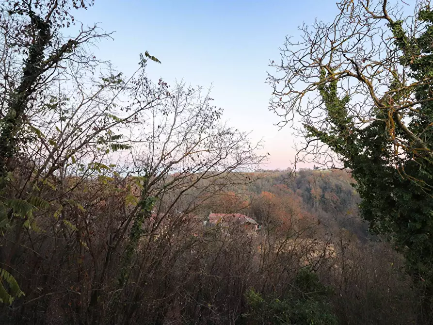 Immagine 23 di Rustico / casale in vendita  in Frazione gatti a Rocchetta Tanaro