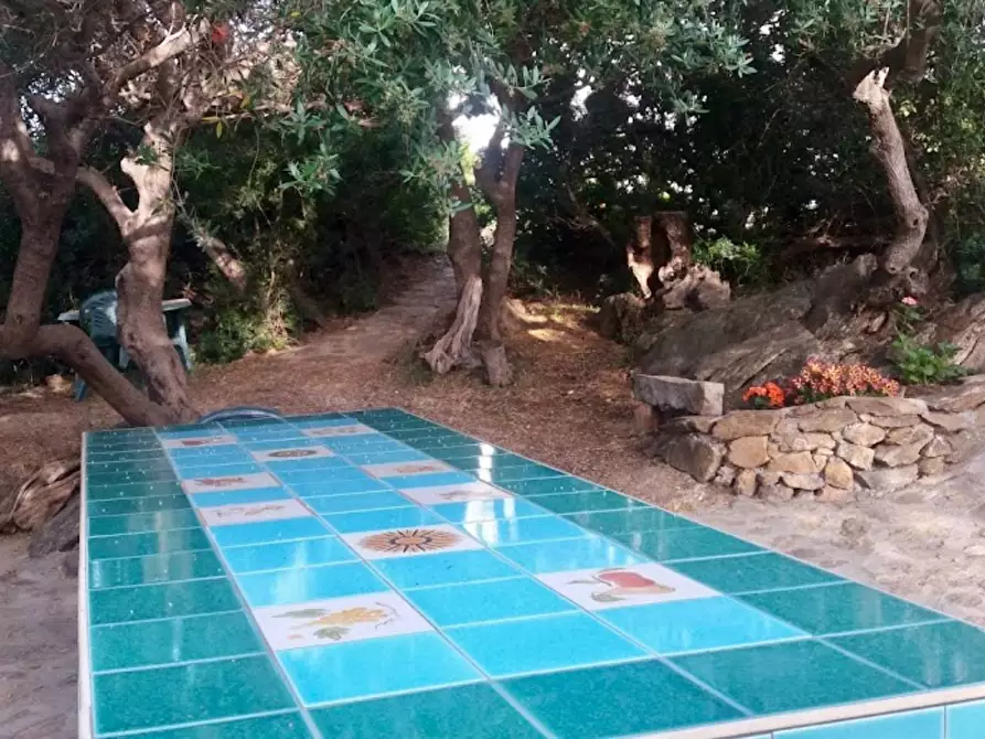 Immagine 6 di Agriturismo in vendita  in località Predas Rujas a Torpè