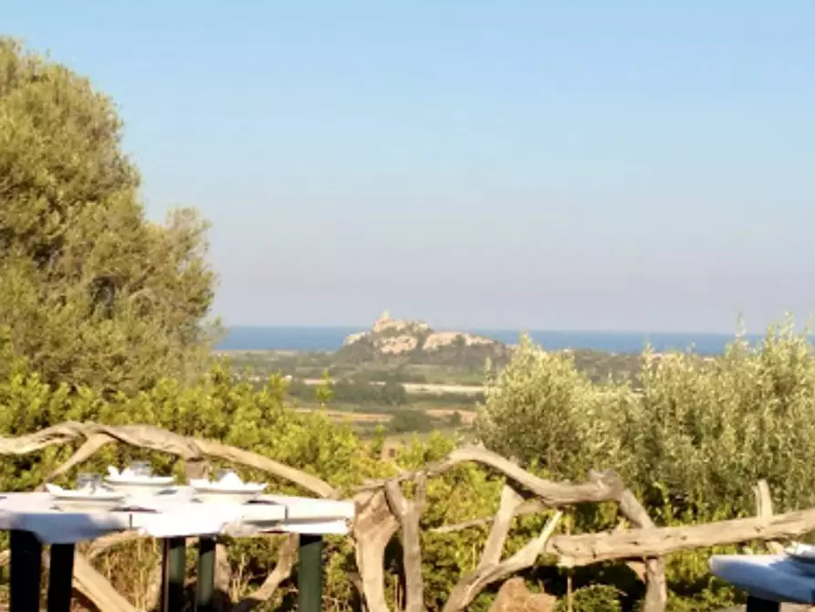 Immagine 19 di Agriturismo in vendita  in località Predas Rujas a Torpè