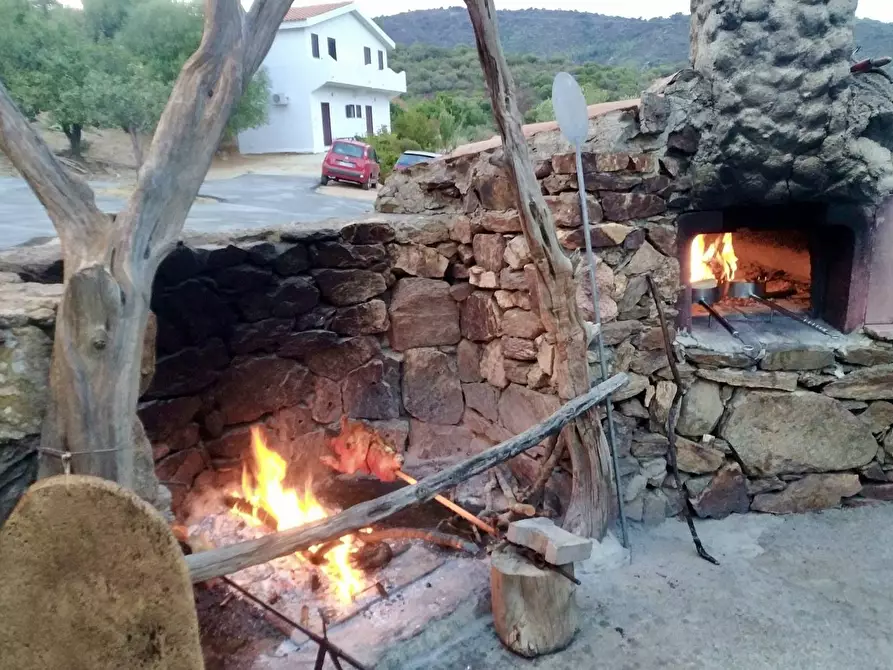 Immagine 22 di Agriturismo in vendita  in località Predas Rujas a Torpè