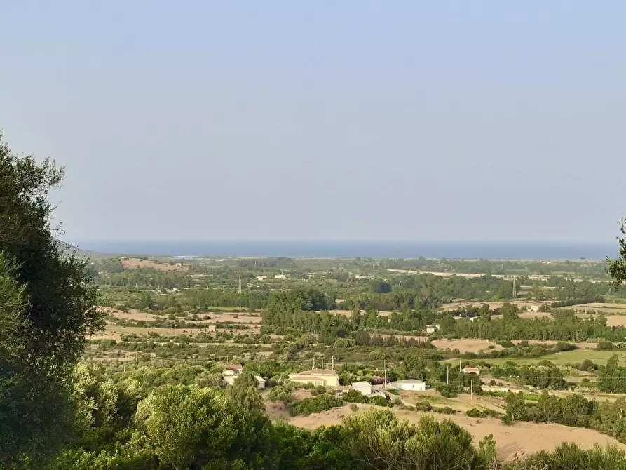 Immagine 30 di Agriturismo in vendita  in località Predas Rujas a Torpè