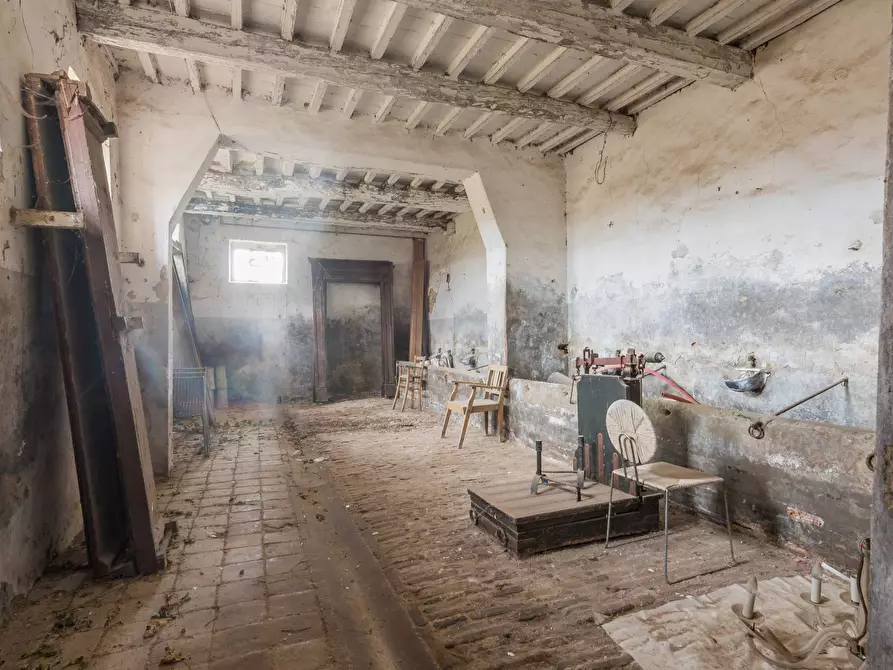 Immagine 28 di Villa in vendita  in Via della Quercia a Monteciccardo