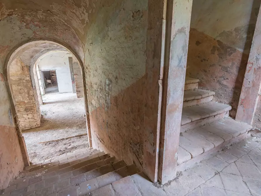 Immagine 24 di Villa in vendita  in Via della Quercia a Monteciccardo