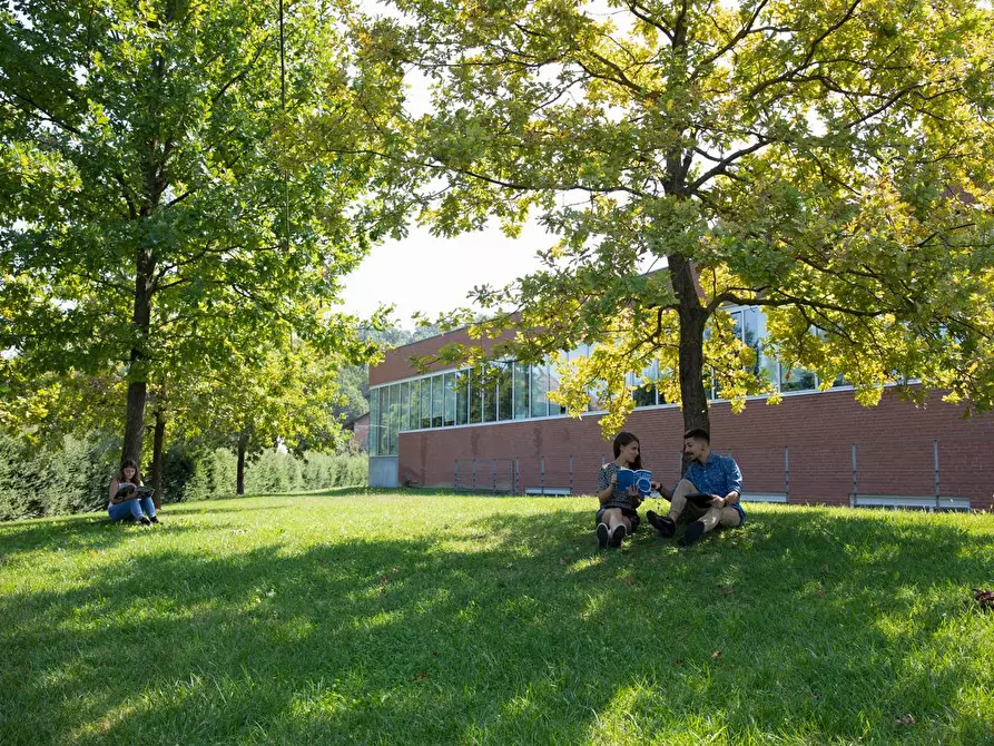 Immagine 12 di Ufficio in affitto  in Corso Barolo a Alba