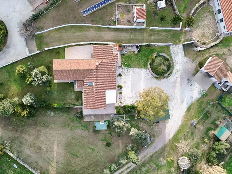 Immagine 1 di Villa in vendita  in Strada statale 125 a Olbia