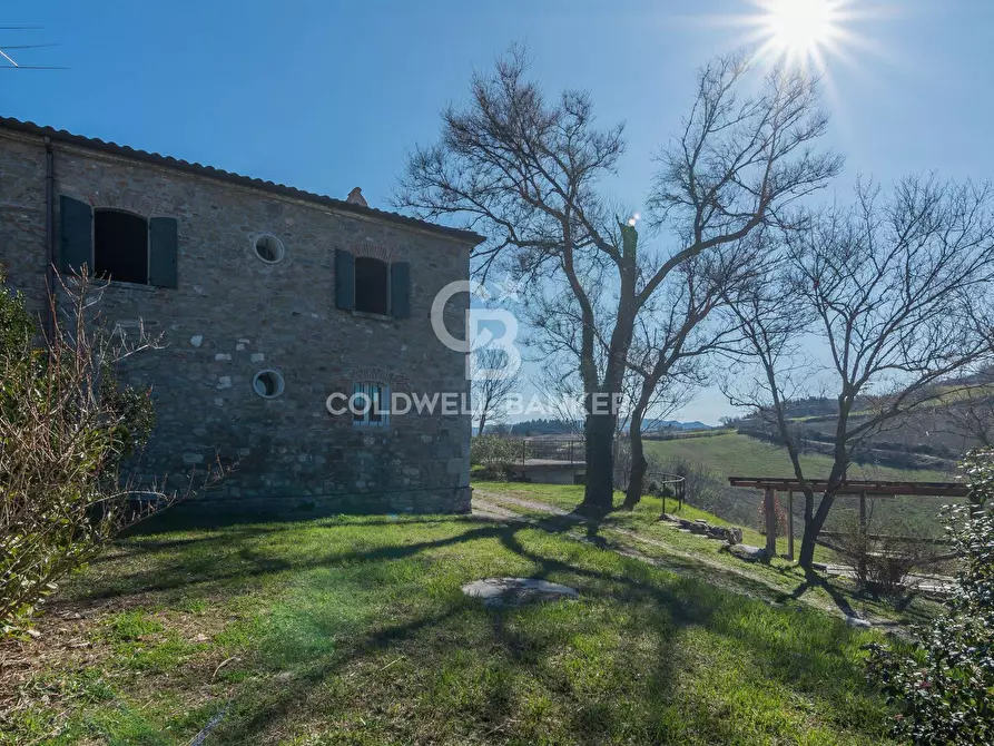 Immagine 25 di Rustico / casale in vendita  in località granaiola snc a Sassofeltrio