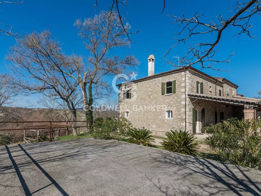 Immagine 26 di Rustico / casale in vendita  in località granaiola snc a Sassofeltrio