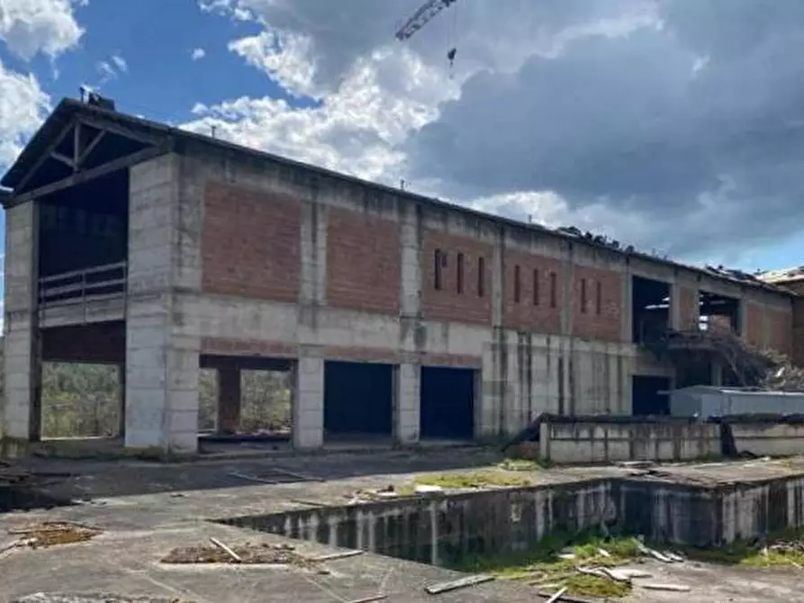 Immagine 2 di Locale commerciale in vendita  in Strada di Cupi a Magliano In Toscana