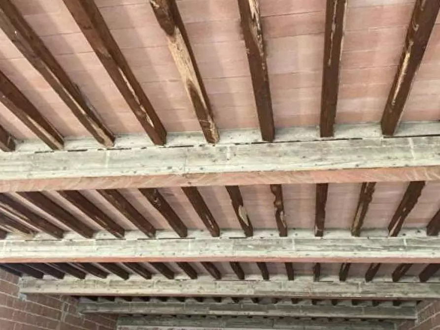 Immagine 11 di Locale commerciale in vendita  in Strada di Cupi a Magliano In Toscana