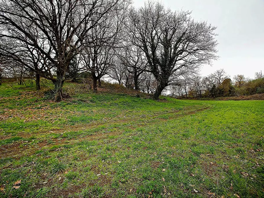 Immagine 16 di Rustico / casale in vendita  in Strada Mazzatosta a Vitorchiano