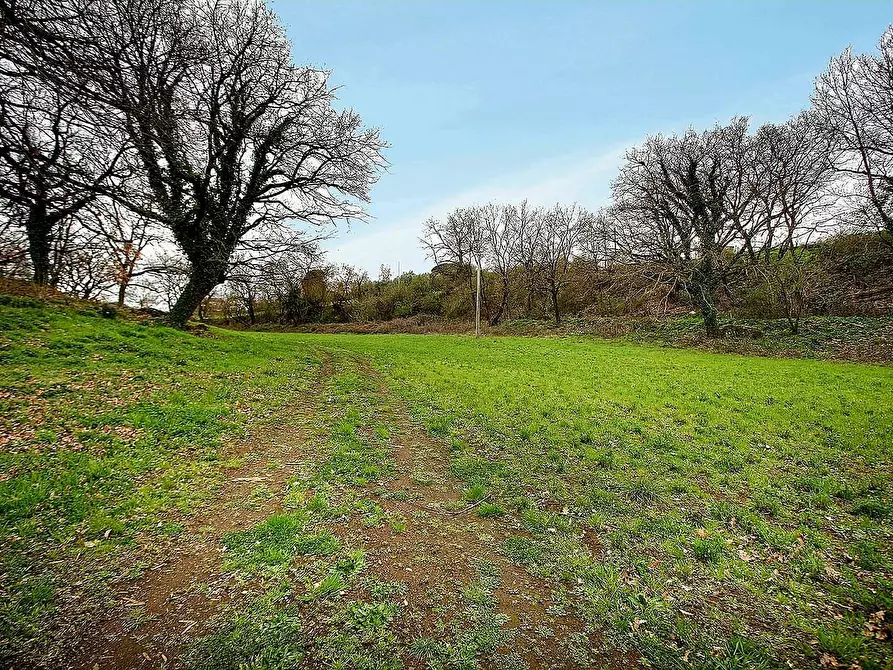 Immagine 17 di Rustico / casale in vendita  in Strada Mazzatosta a Vitorchiano
