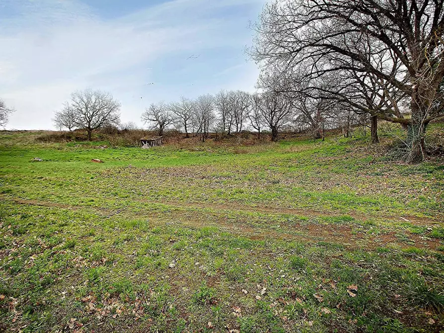 Immagine 18 di Rustico / casale in vendita  in Strada Mazzatosta a Vitorchiano