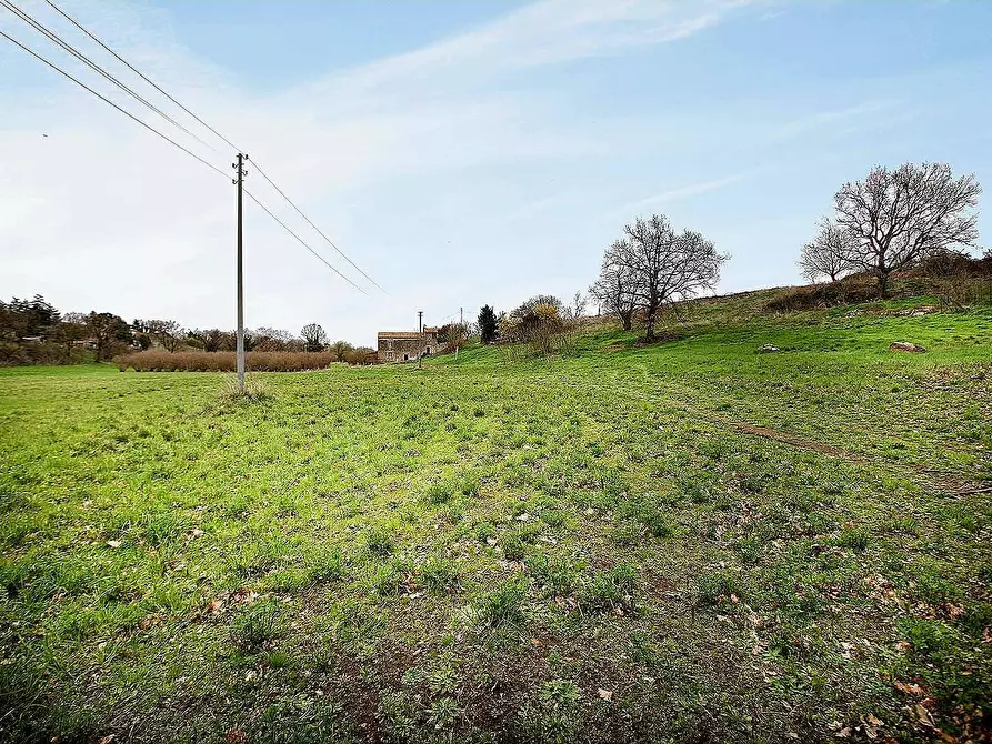 Immagine 19 di Rustico / casale in vendita  in Strada Mazzatosta a Vitorchiano