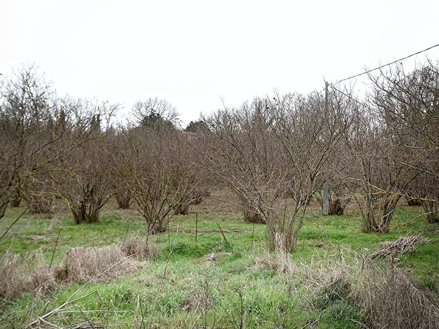 Immagine 20 di Rustico / casale in vendita  in Strada Mazzatosta a Vitorchiano