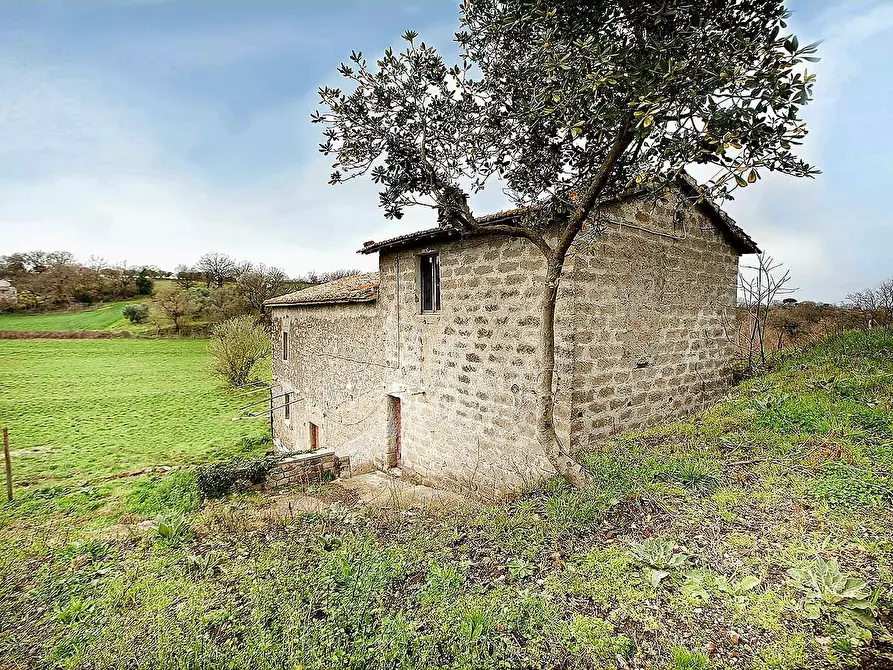 Immagine 15 di Rustico / casale in vendita  in Strada Mazzatosta a Vitorchiano