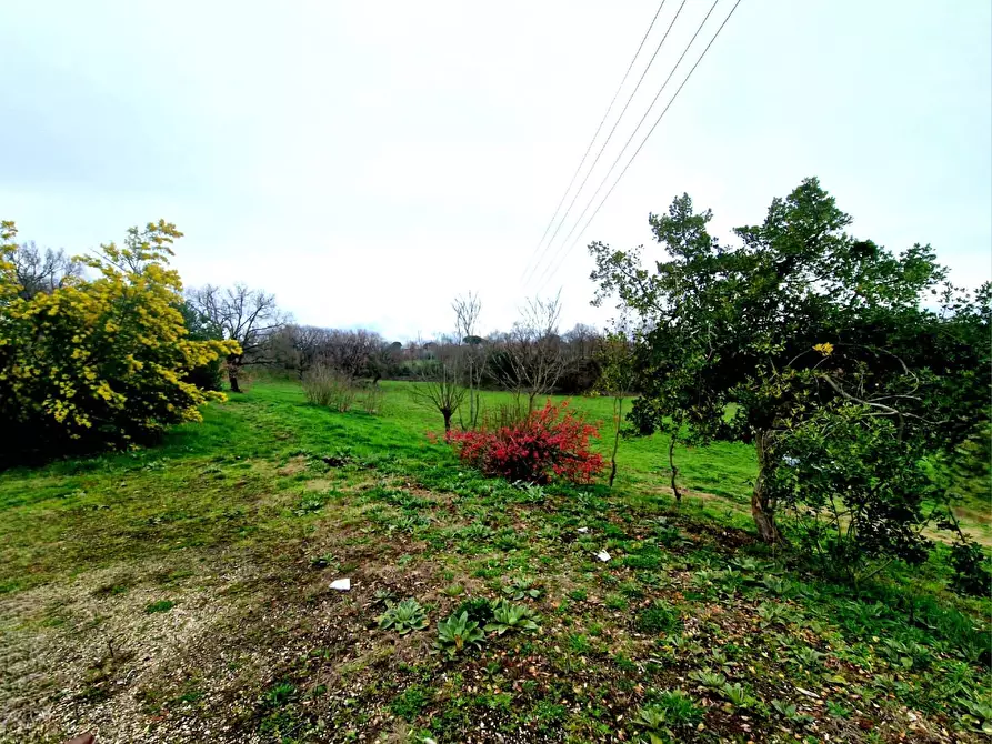 Immagine 21 di Rustico / casale in vendita  in Strada Mazzatosta a Vitorchiano