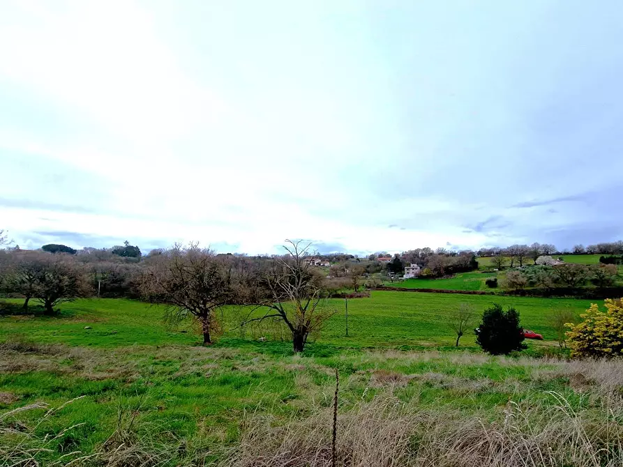 Immagine 22 di Rustico / casale in vendita  in Strada Mazzatosta a Vitorchiano