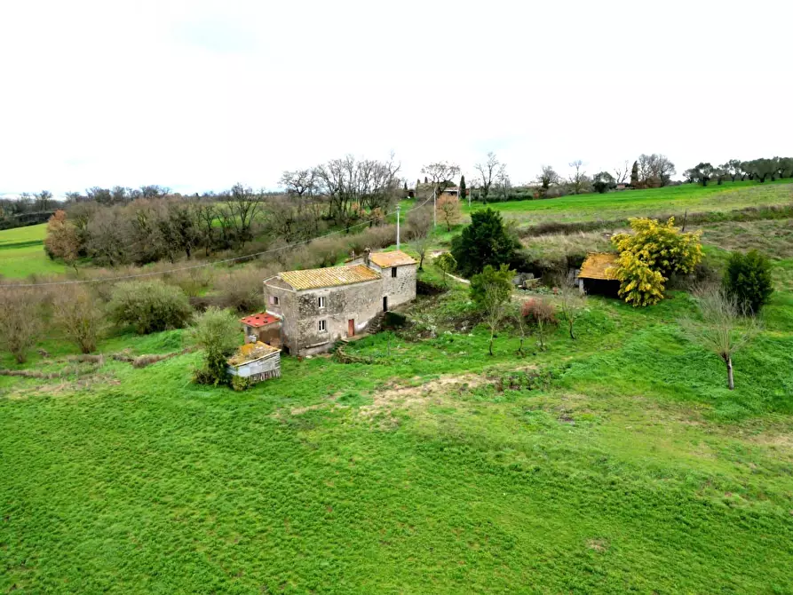 Immagine 10 di Rustico / casale in vendita  in Strada Mazzatosta a Vitorchiano