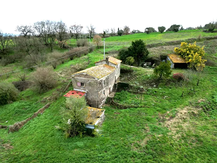 Immagine 9 di Rustico / casale in vendita  in Strada Mazzatosta a Vitorchiano