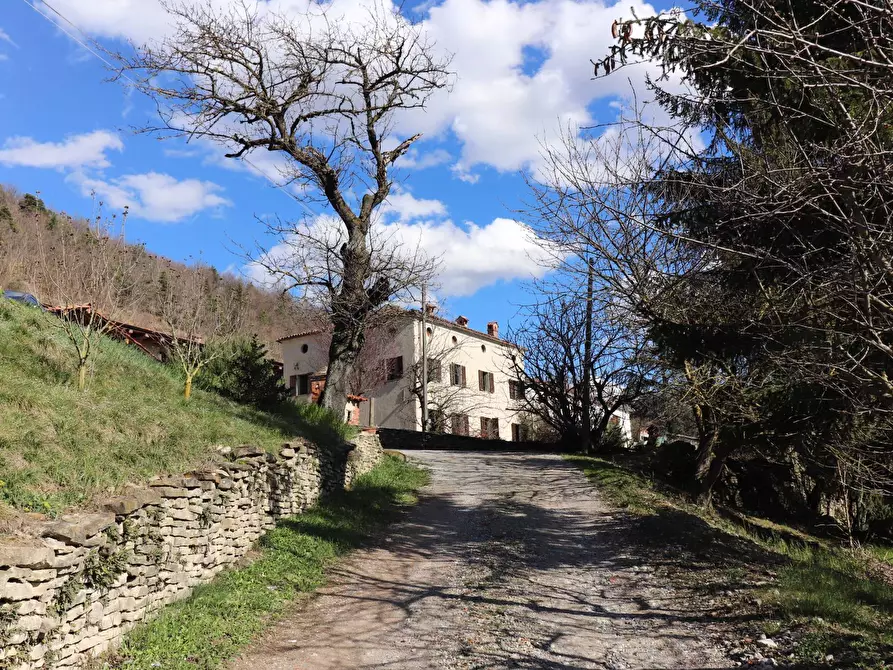 Immagine 24 di Casa semindipendente in vendita  in Borgata Garombo a Somano