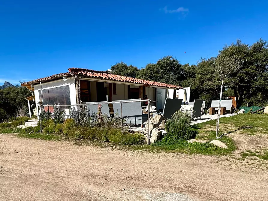 Immagine 7 di Bar / Ristorante in vendita  in ss 127 a Calangianus