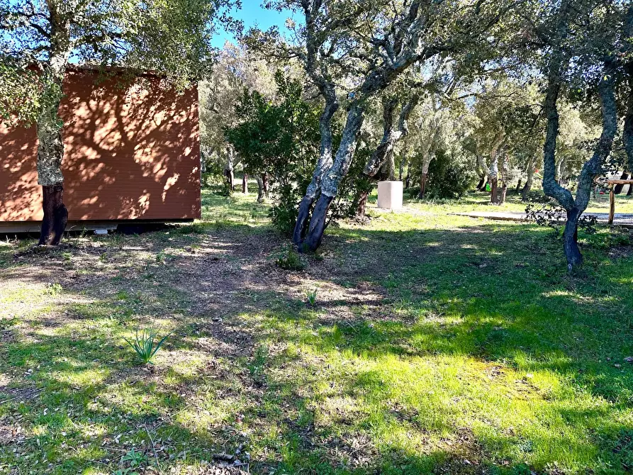 Immagine 19 di Bar / Ristorante in vendita  in ss 127 a Calangianus