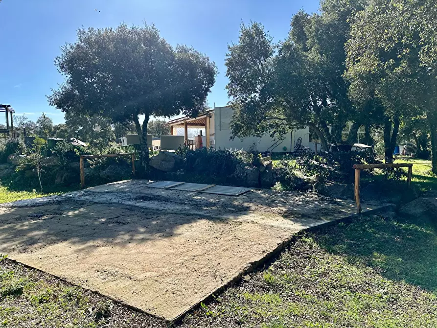 Immagine 22 di Bar / Ristorante in vendita  in ss 127 a Calangianus