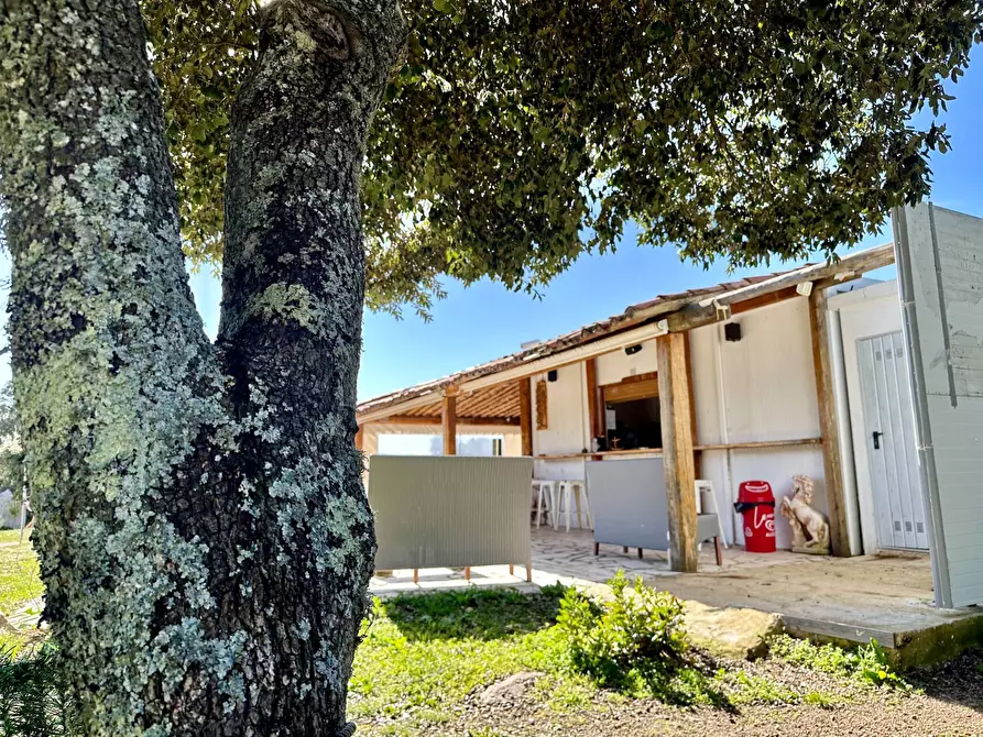 Immagine 20 di Bar / Ristorante in vendita  in ss 127 a Calangianus