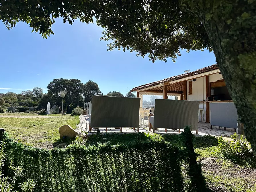 Immagine 23 di Bar / Ristorante in vendita  in ss 127 a Calangianus