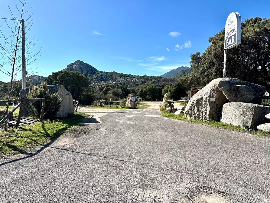 Immagine 21 di Bar / Ristorante in vendita  in ss 127 a Calangianus