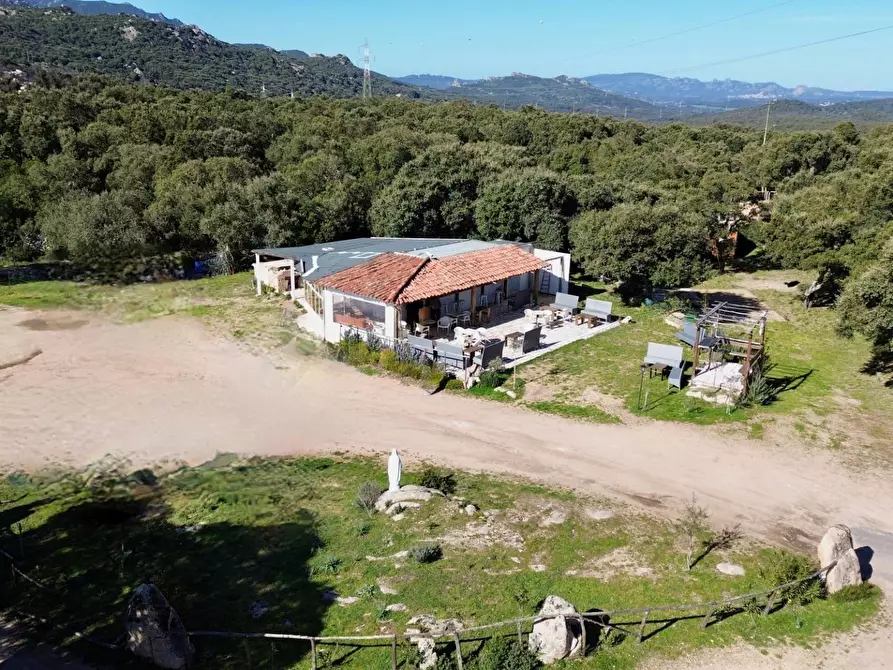 Immagine 26 di Bar / Ristorante in vendita  in ss 127 a Calangianus