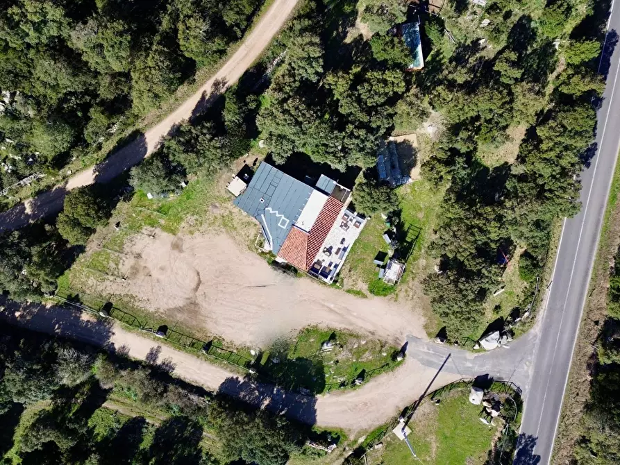 Immagine 4 di Bar / Ristorante in vendita  in ss 127 a Calangianus