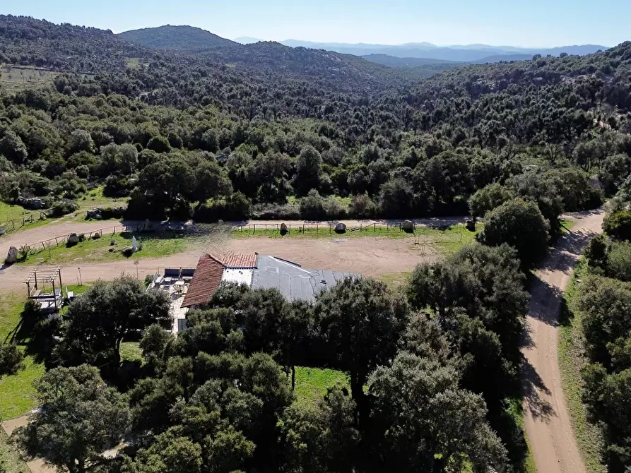 Immagine 27 di Bar / Ristorante in vendita  in ss 127 a Calangianus