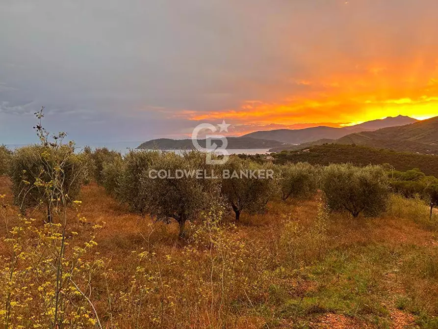 Immagine 1 di Terreno agricolo in vendita  in Via Valdana a Porto Azzurro