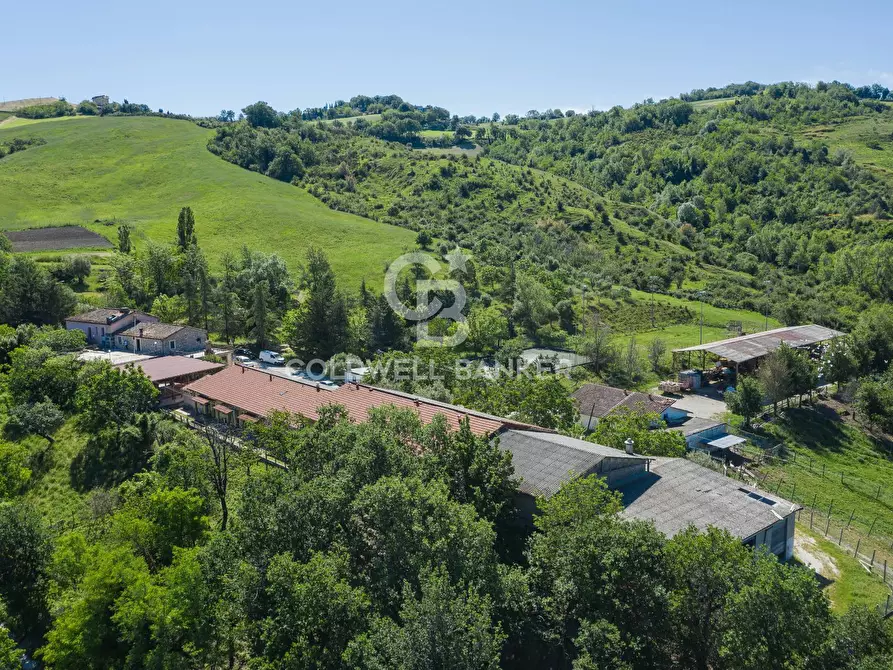 Immagine 4 di Rustico / casale in vendita  in Via Montemaggio, 45,  Montemaggio a San Leo