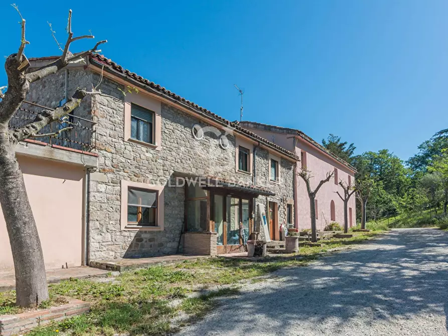 Immagine 9 di Rustico / casale in vendita  in Via Montemaggio, 45,  Montemaggio a San Leo