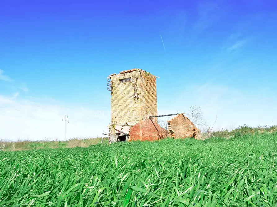 Immagine 1 di Terreno agricolo in vendita  in Località Pantano di Sotto a Tarquinia