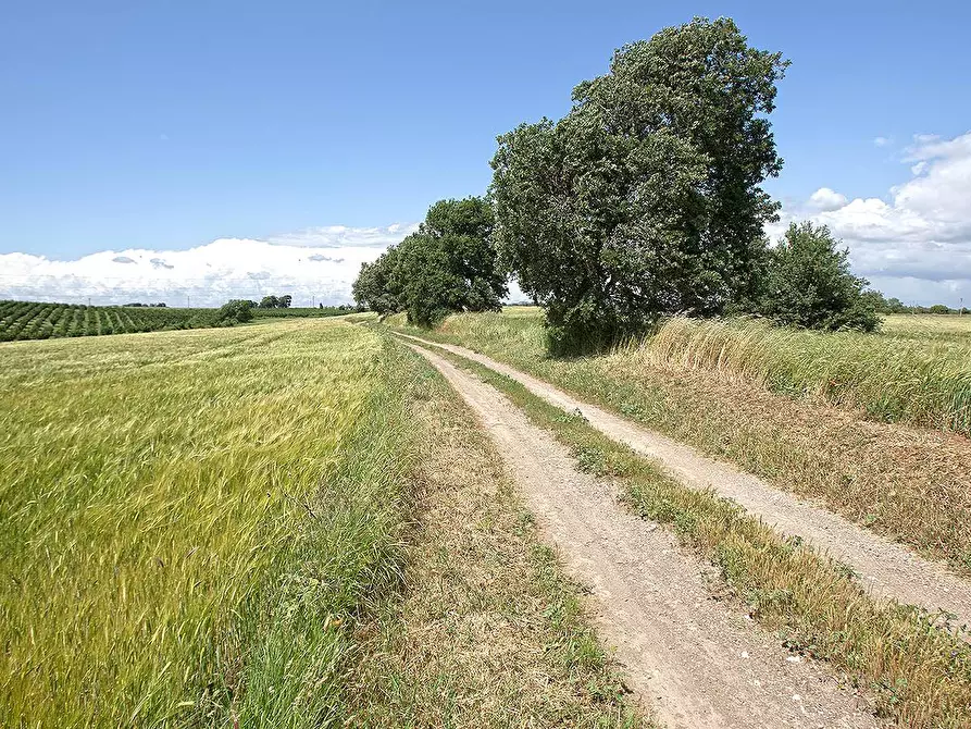 Immagine 1 di Terreno agricolo in vendita  in Strada Castiglione a Viterbo