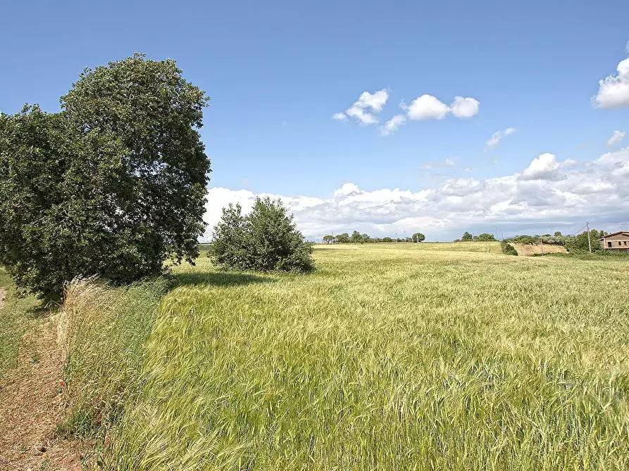 Immagine 1 di Terreno agricolo in vendita  in Strada Castiglione a Viterbo