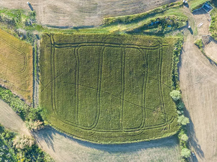 Immagine 7 di Terreno residenziale in vendita  in Via Pulzona a Saludecio
