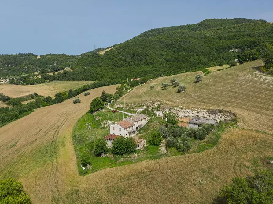 Immagine 8 di Rustico / casale in vendita  in Via San Venanzio a Fossombrone