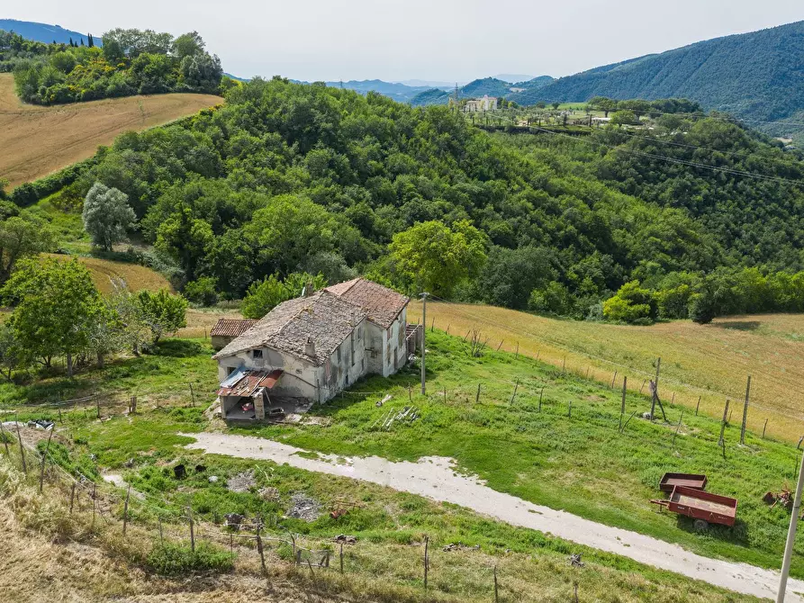 Immagine 9 di Rustico / casale in vendita  in Via San Venanzio a Fossombrone