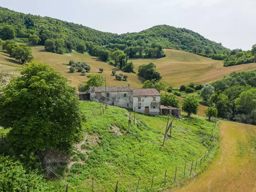 Immagine 10 di Rustico / casale in vendita  in Via San Venanzio a Fossombrone